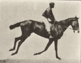 Plate 620 'Annie G.' cantering, saddled — figure reference